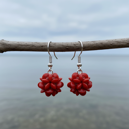 Koralen oorbellen met rood koralen bal en sterling zilver 925 hangend aan takje | Coral Ball Chip