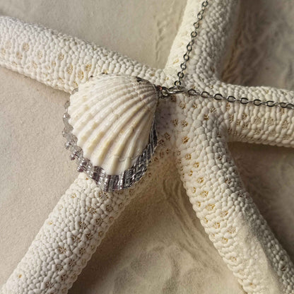 Detail van schelpen ketting met witte schelp hanger liggend op zeester | White Cockel Shell Silver