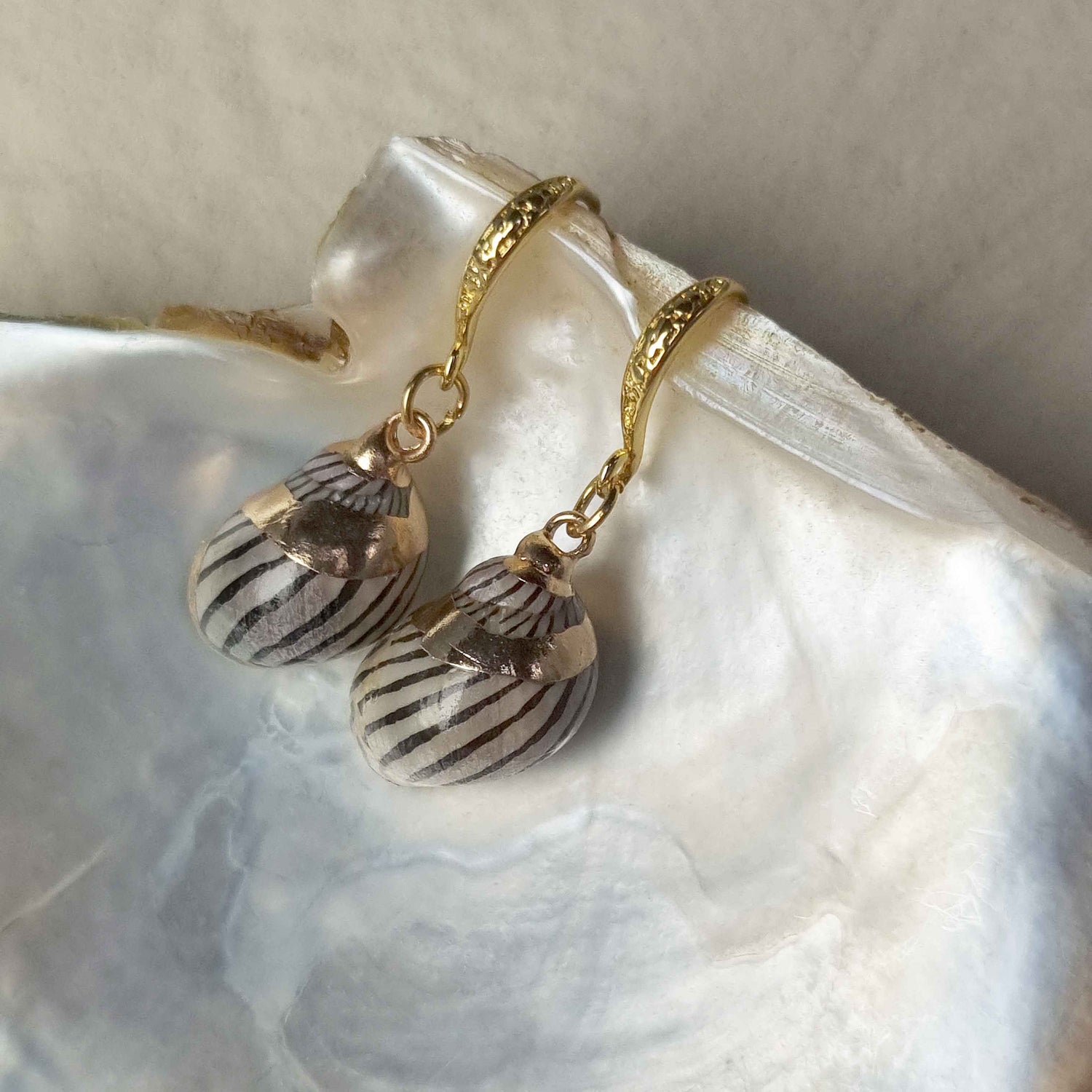 Schelpen oorbellen met bruine schelp hangend in schelp | set Gold Spiral Shell