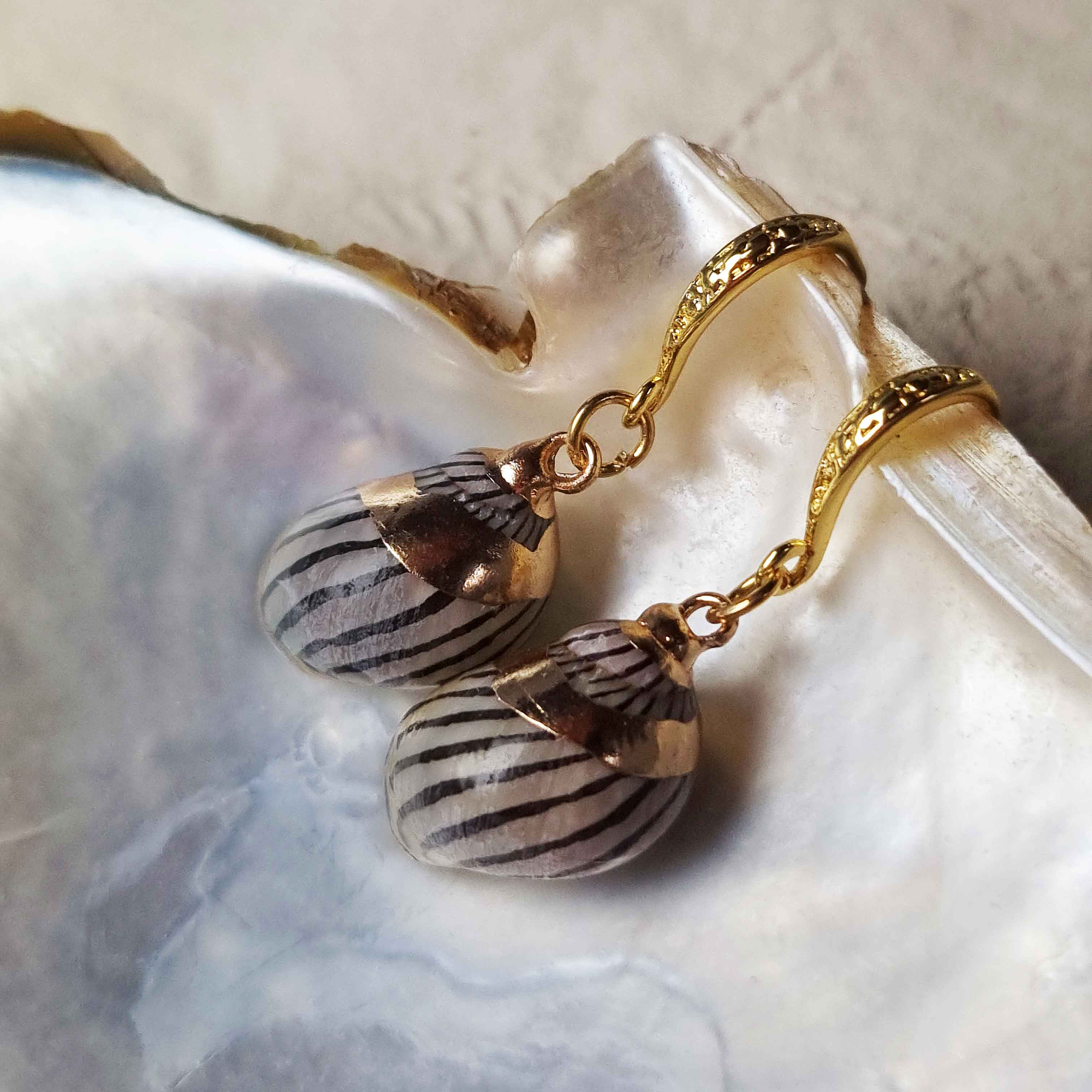 Schelpen oorbellen met bruine schelp liggend in schelp | set Gold Spiral Shell