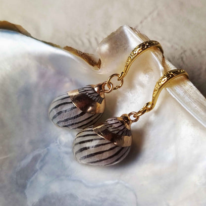 Schelpen oorbellen met bruine schelp liggend in schelp | set Gold Spiral Shell