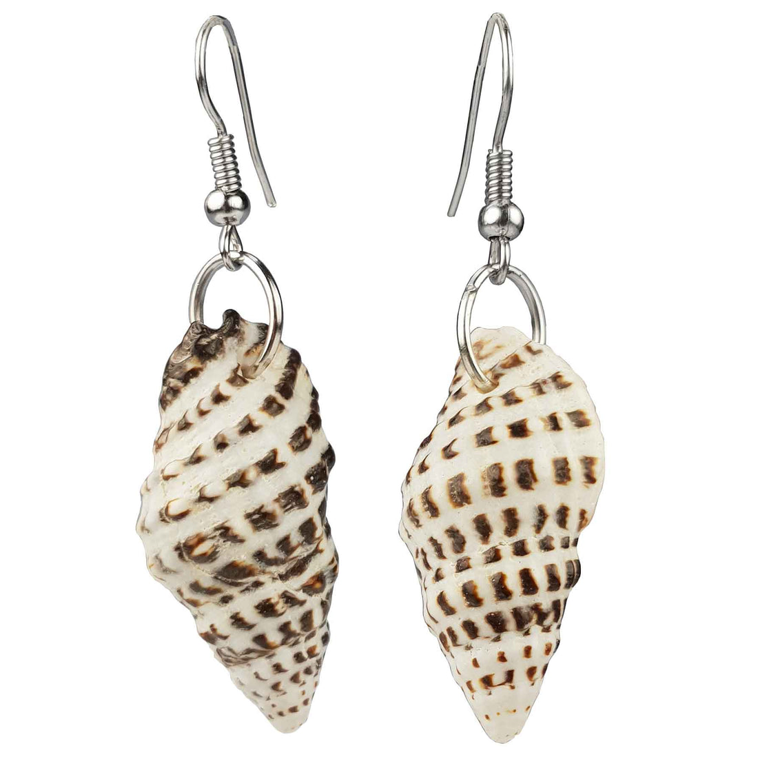 Schelpen oorbellen met witte bruine schelp en sterling zilver (925) | Small Trumpet Shell