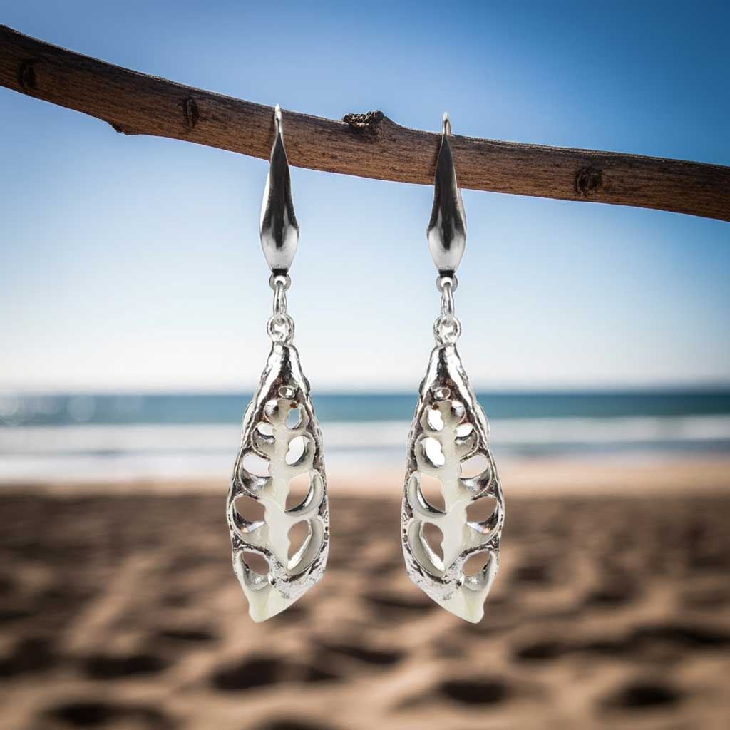Witte schelpen oorbellen hangend aan takje met achtergrond strand |  White Trumpet Shell Silver