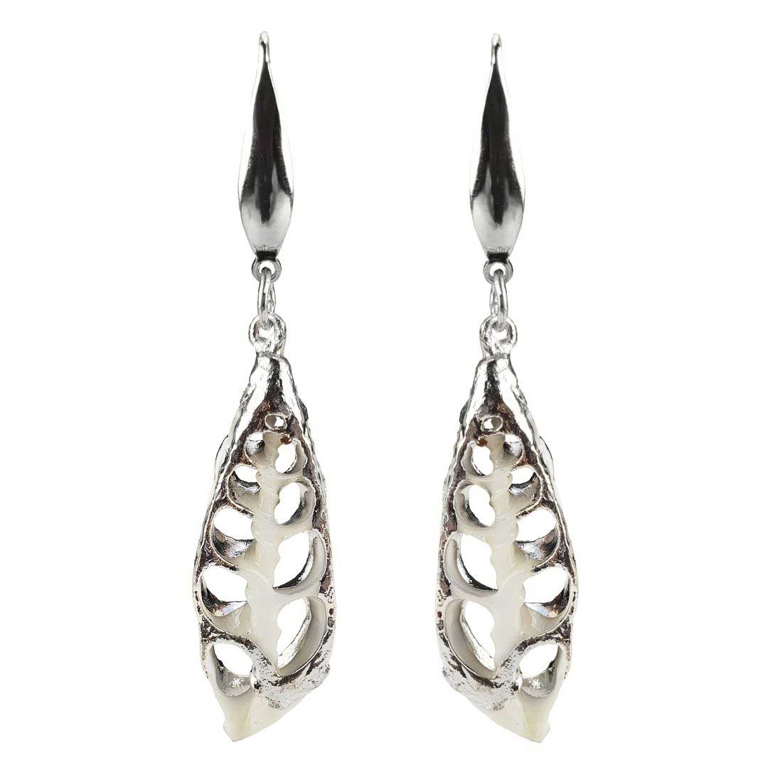 Witte schelp oorbellen met zilver edelstaal | White Trumpet Shell Silver