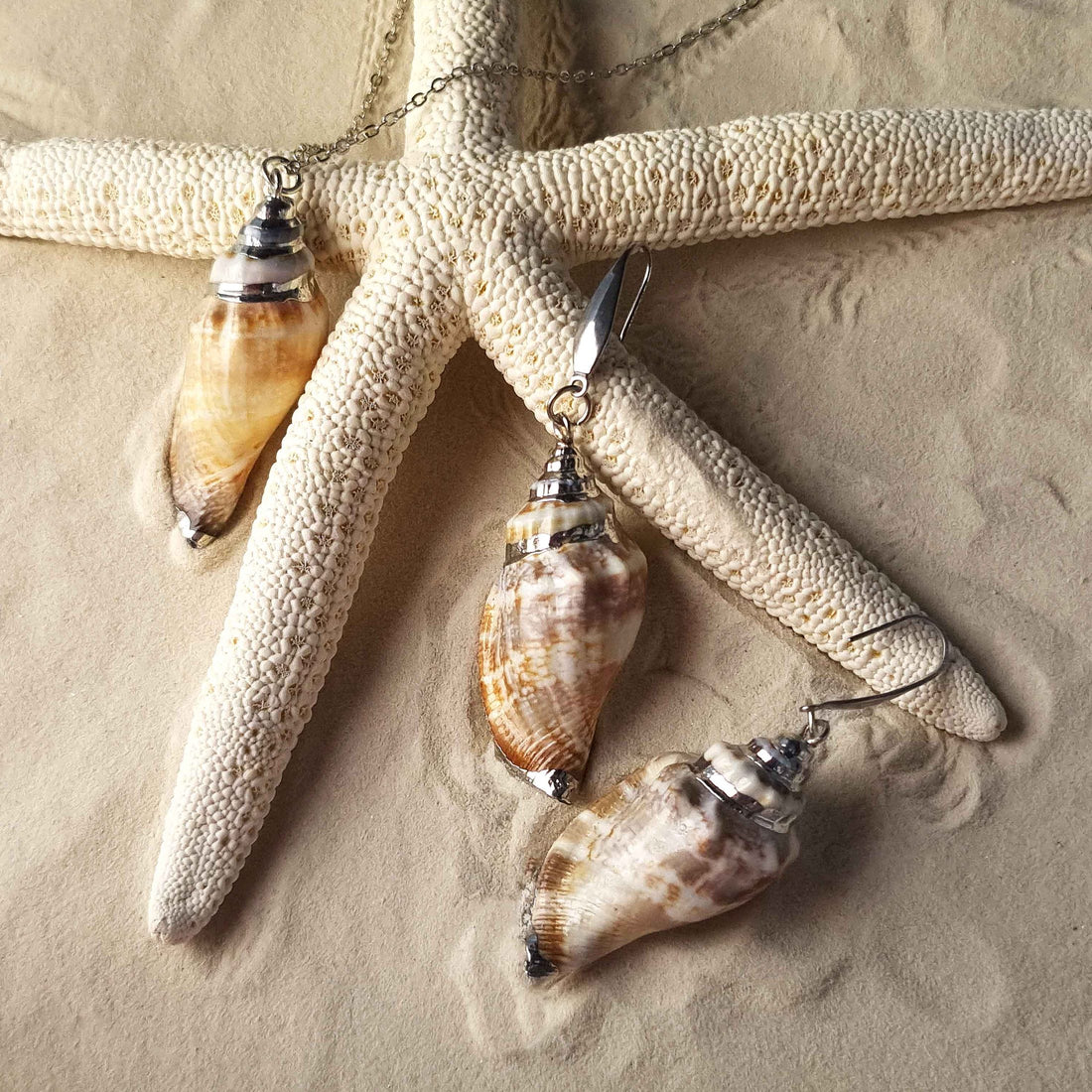 Schelpen sieraden set bestaande uit een schelpen ketting en schelpen oorbellen met licht bruine schelp en zilver edelstaal liggend op zand | set Seashell Silver