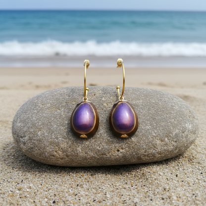 Gouden oorringen met paarse schelpen en goud edelstaal liggend op steen | Shell Cowrie Purple