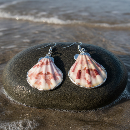 Schelpen oorbellen met Shell schelp en sterling zilver (925) liggend op steen aan zeerand| Shellina