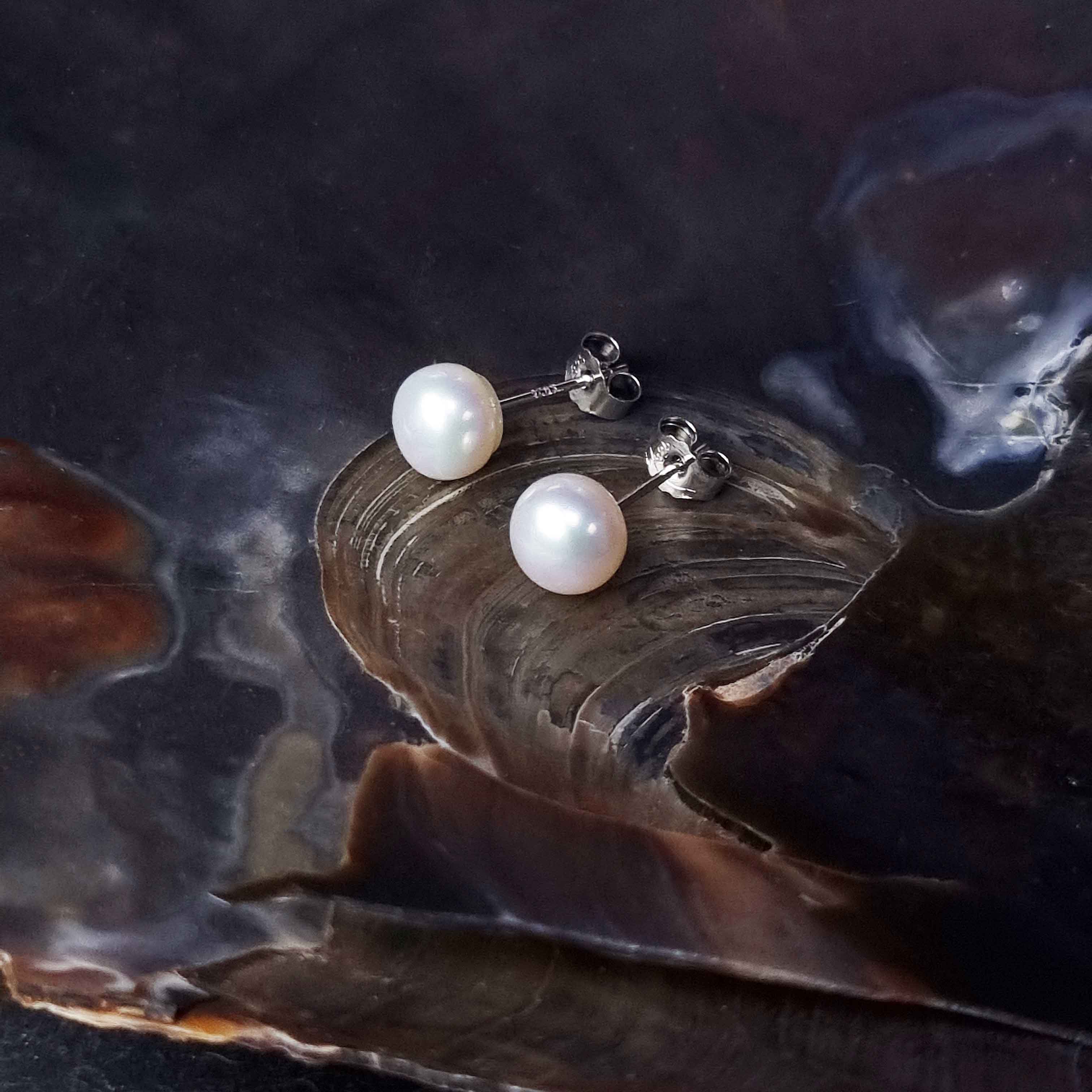 Witte zoetwater parel oorbellen met sterling zilver (925) liggend in schelp | Mea