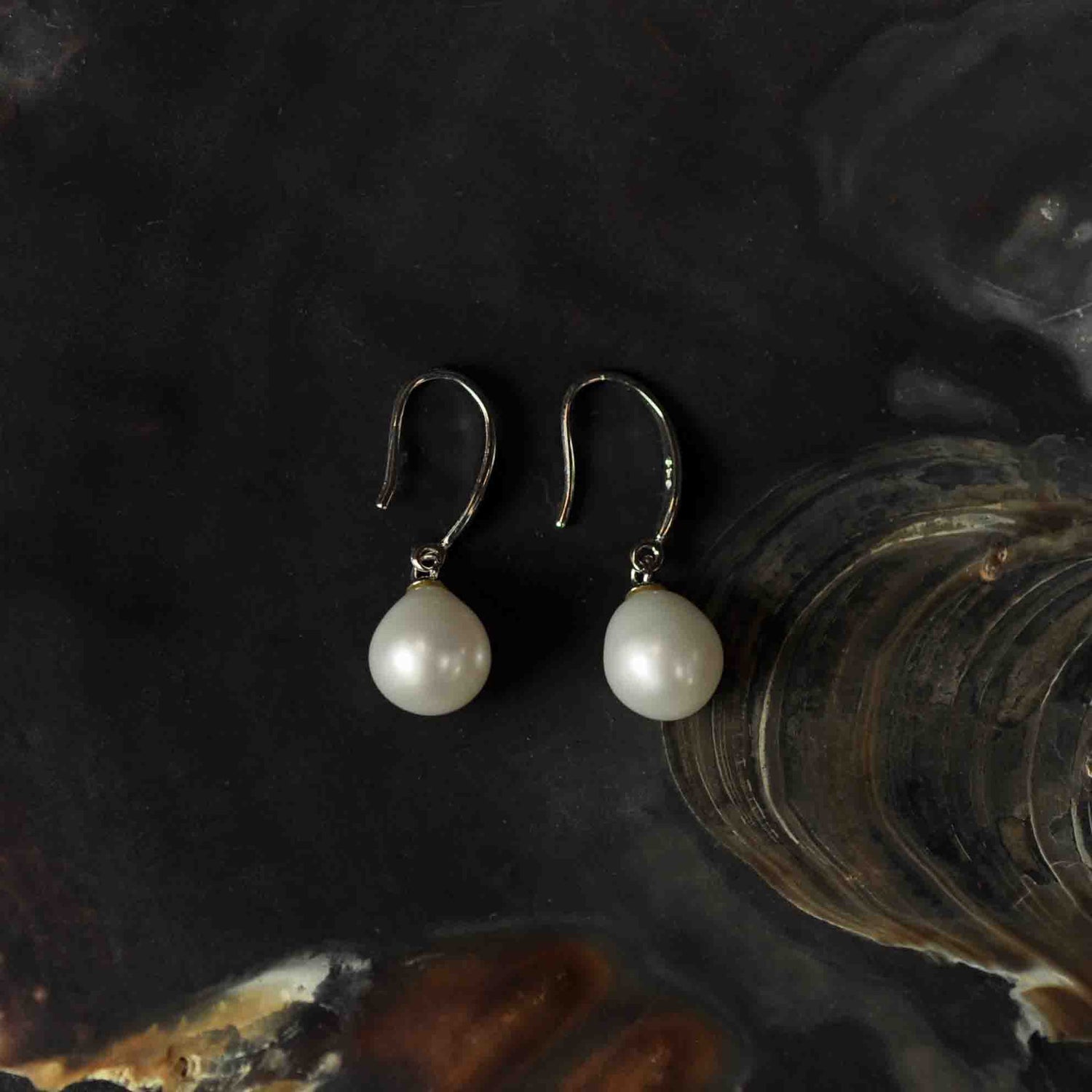 Witte zoetwater parel oorbellen, oorbel hangers liggend in schelp | Maureen W
