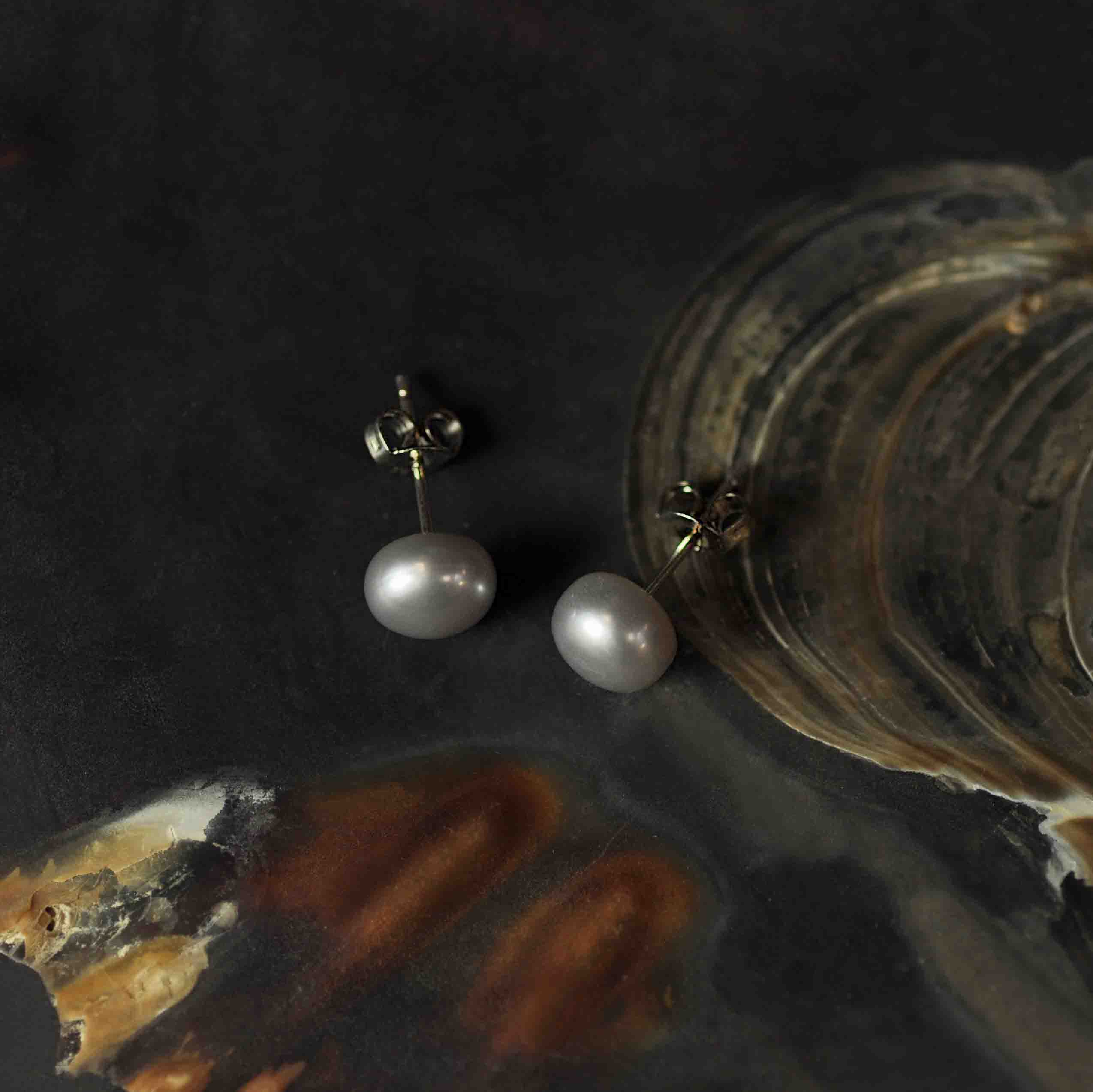 Zoetwater parel oorknopjes met licht grijze parel liggend in schelp | Silver Grey Eye