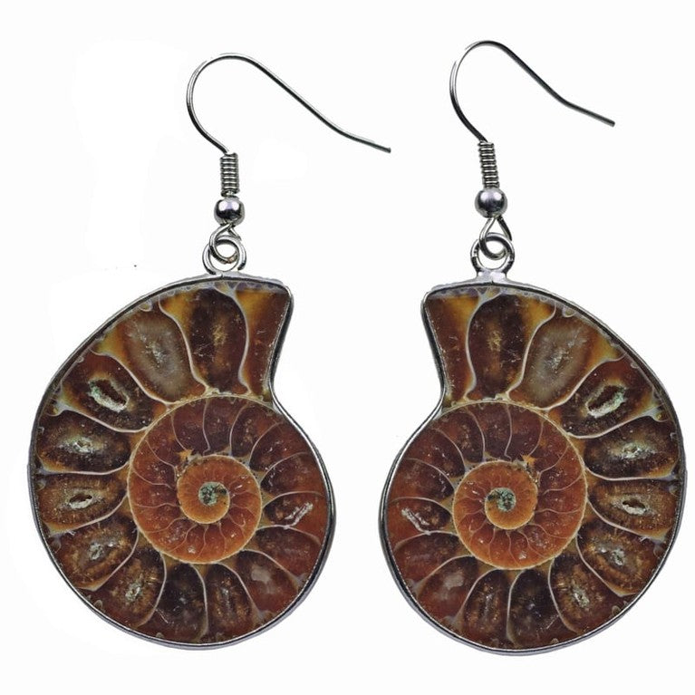 Bruine fossiele schelp oorbellen met sterling zilver (925) | Snail