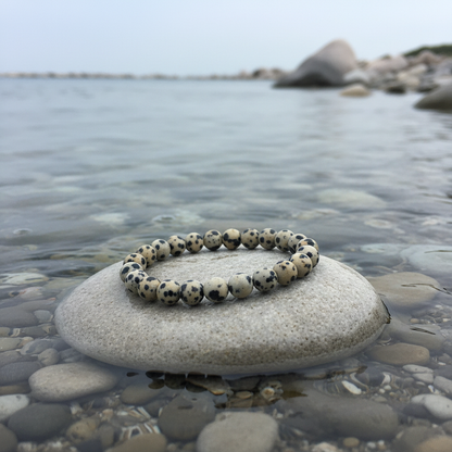 Dalmatian armband aan de waterkant zonder groen