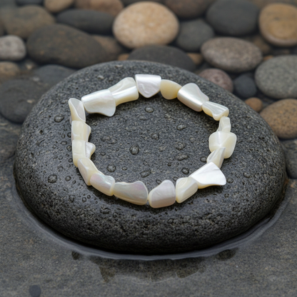 White Shell Small parelmoeren armband close-up op grijze natte steen bij oever