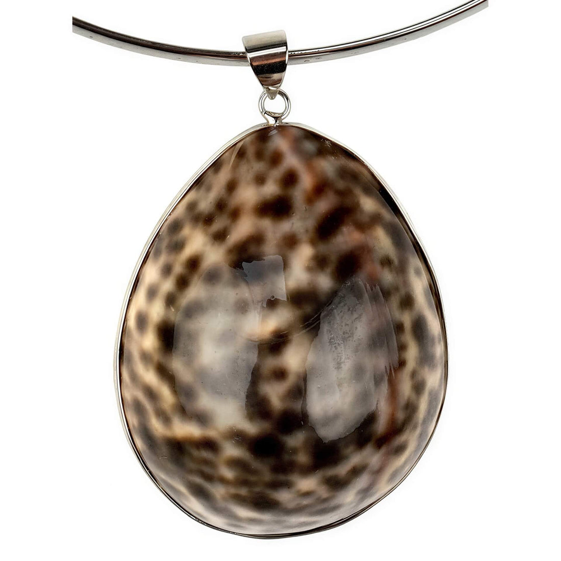 Detail van schelpen choker ketting met een bruin gespikkelde panter schelp | Panther