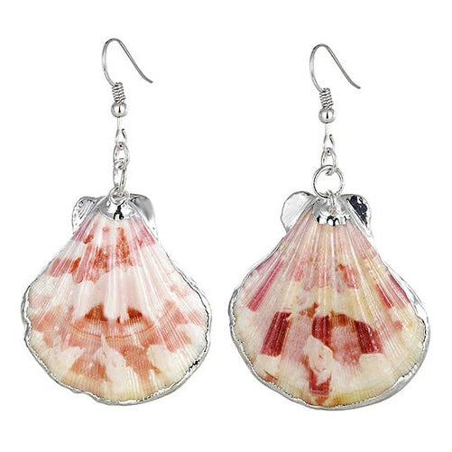 Schelpen oorbellen met Shell schelp en sterling zilver (925) | Shellina