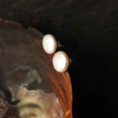Grote witte zoetwater parel oorbellen met sterling zilveren oorstekers hangend aan schelp, parel oorknopjes