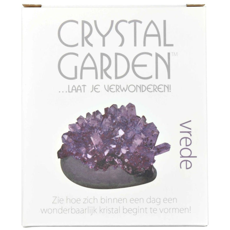 Paarse groei kristal | Cadeau set Crystal Garden - Vrede