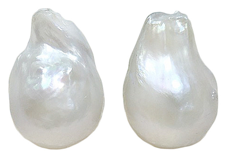 Grote witte zoetwater parel oorbellen met sterling zilver (925) | Big Nucleated White Pearl