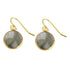 Edelstenen oorbellen met labradoriet en goud edelstaal | Labradorite Gold Round