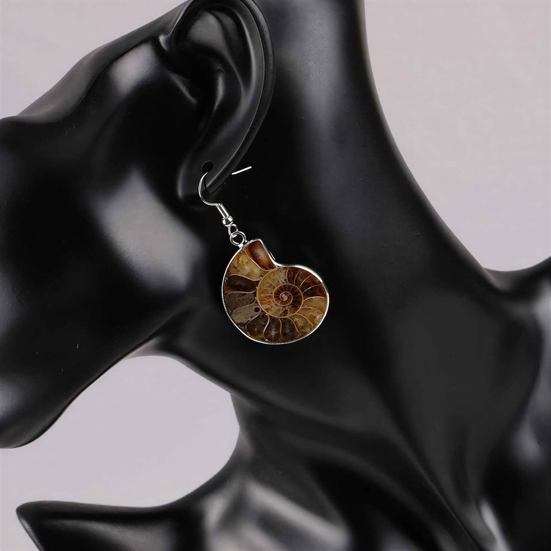 Bruine fossiele schelp oorbellen met sterling zilver (925) op display | Snail