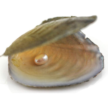 Oester in parel uit de wens parel | Kerst