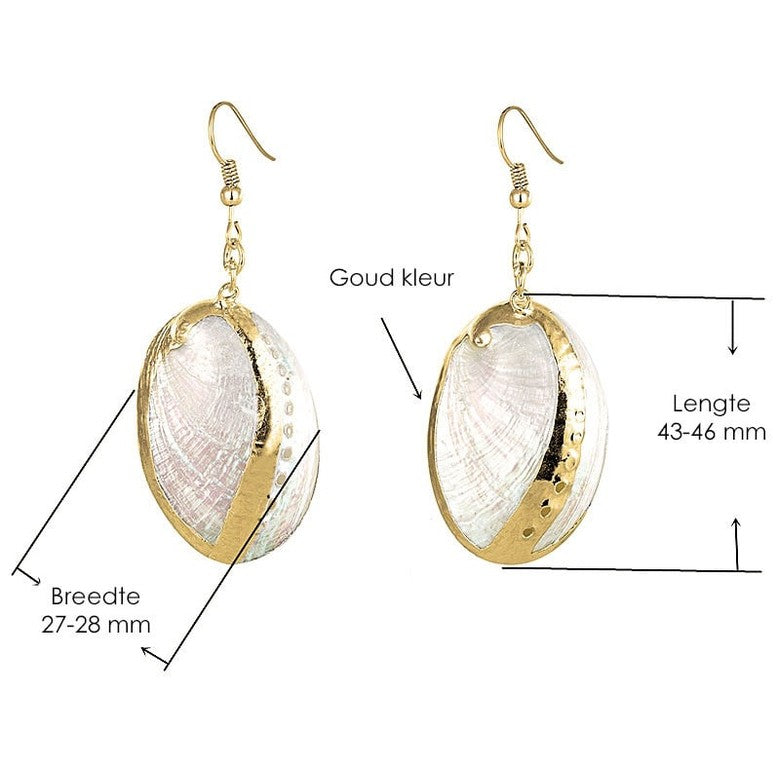 Parelmoeren schelpen oorbellen met witte schelp en goud edelstaal met maatindicatie | set White Shell Gold