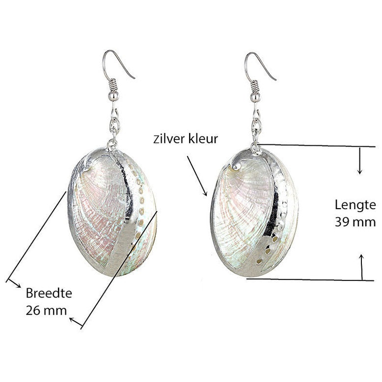 Witte parelmoeren schelpen oorbellen met zilver edelstaal met maatindicatie | White Shell Silver