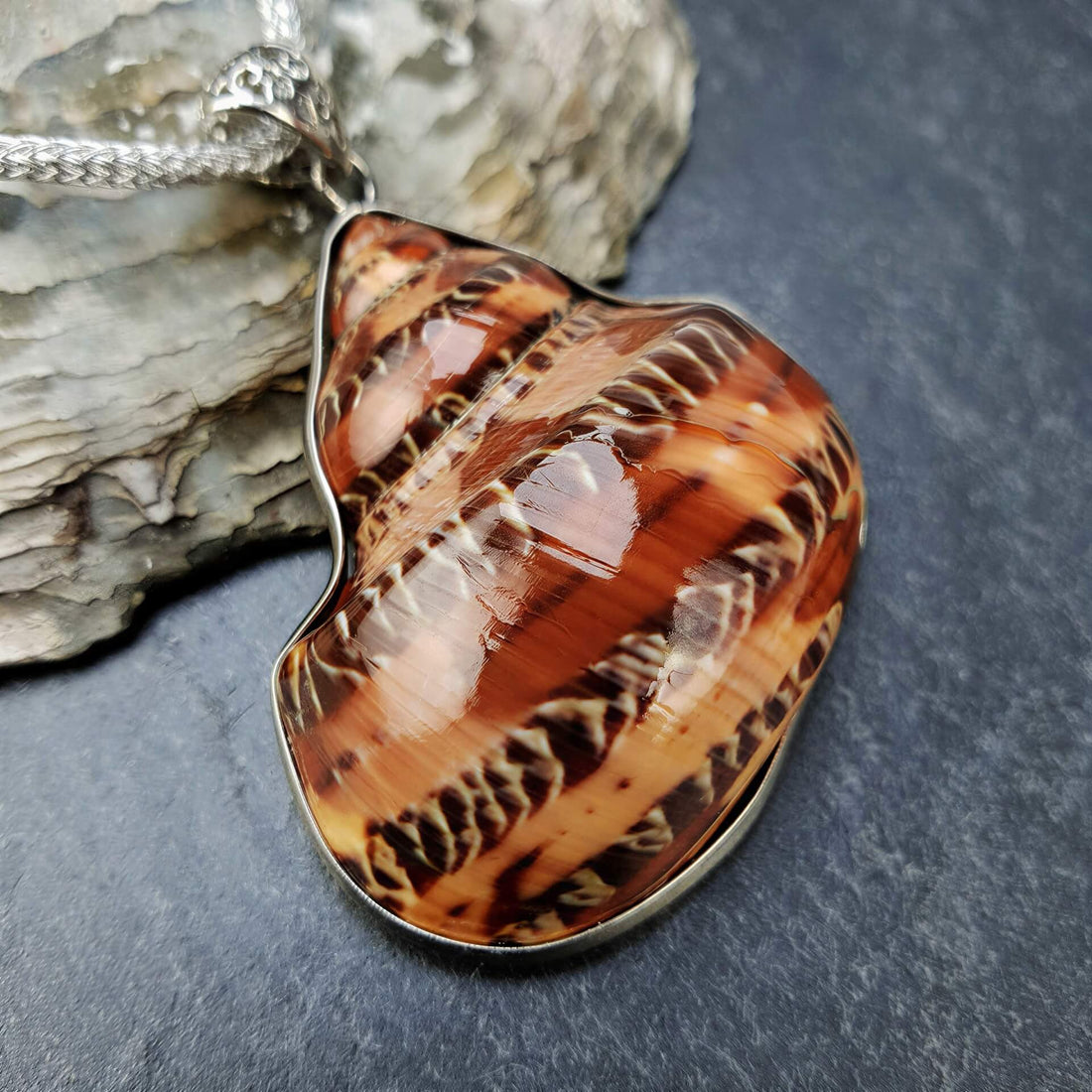 Detail van schelpen ketting met een bruine schelp liggend op leisteen | Brown Shell