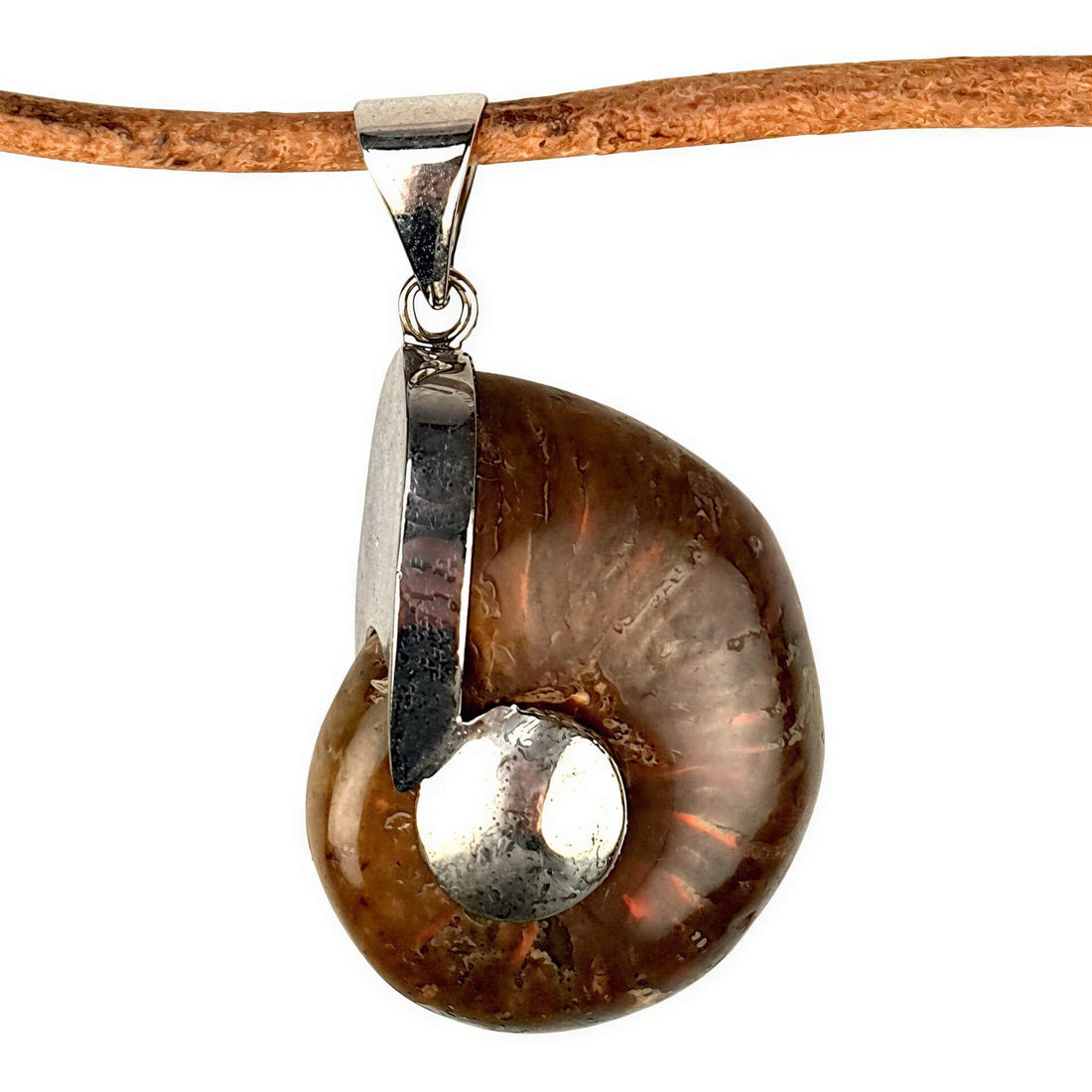 Detail van schelpen ketting met een versteende nautulus schelp en leer | Fossiel