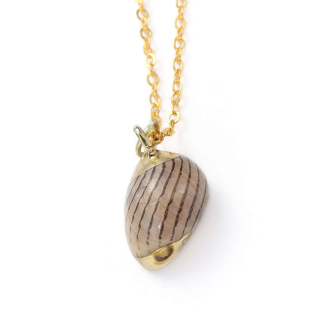 Detail van gouden schelpen ketting met bruine schelp | Gold Spiral Shell