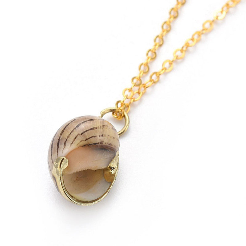 Detail van schelpen schelpen ketting met bruine schelp achterkant | set Gold Spiral Shell