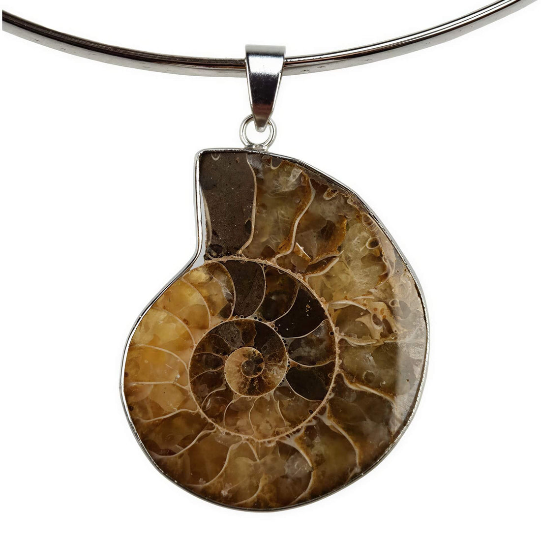 Detail van schelpen ketting met een versteenden nautulus schelp | Snail
