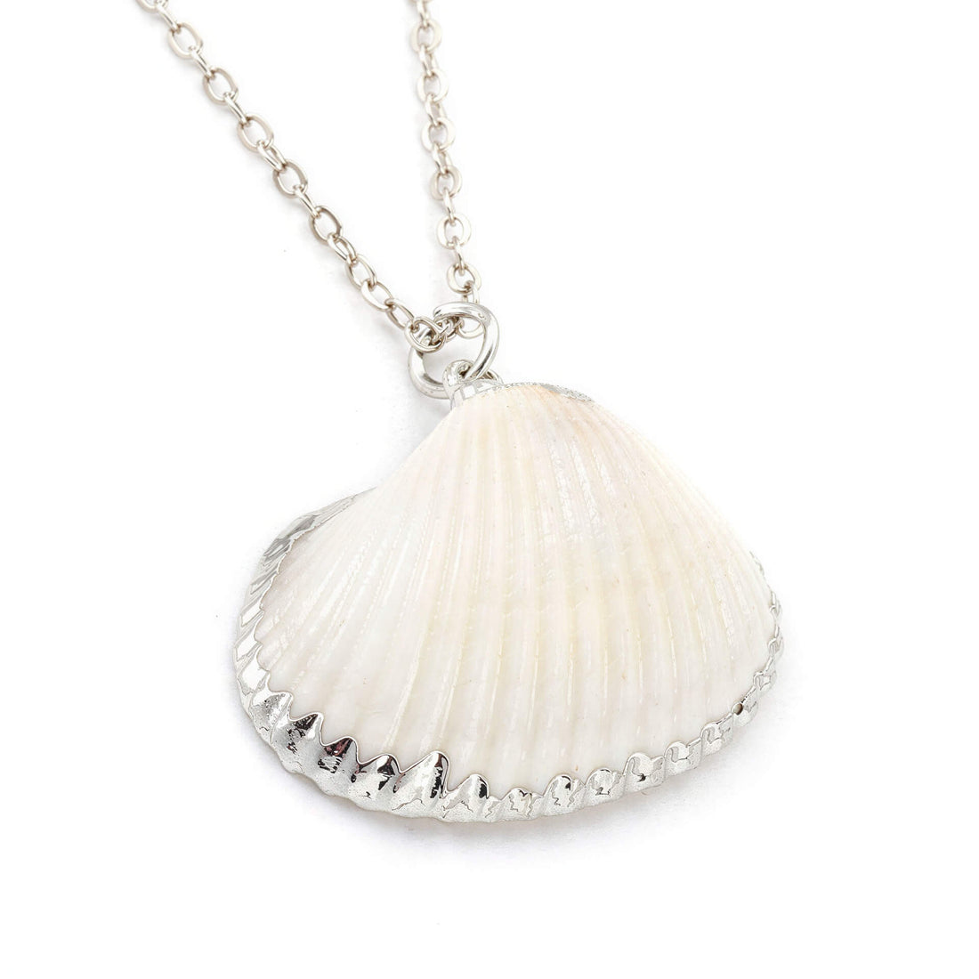Detail van schelpen ketting met witte schelp hanger | White Cockel Shell Silver