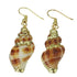 Schelpen oorbellen met witte en bruine schelp en goud edelstaal | Ribbed Seashell Gold