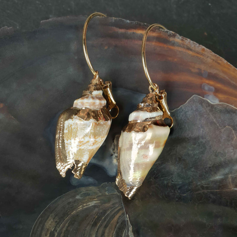 Gouden oorringen met crème kleurige schep schelp hangend in schelp | Big Hope Conche Shell Gold
