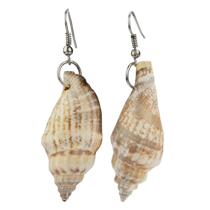 Schelpen oorbellen met wit met bruine schelp met sterling zilver (925) | Big Trumpet Shell Brown & White