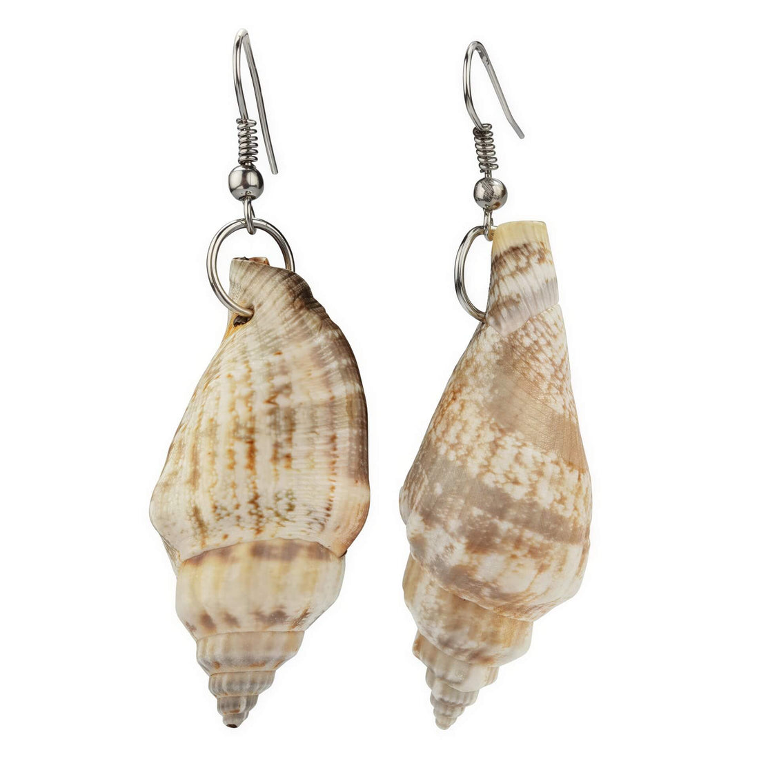 Schelpen oorbellen met wit met bruine schelp met sterling zilver (925) | Big Trumpet Shell Brown & White