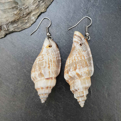 Schelpen oorbellen met wit met bruine schelp met sterling zilver (925) liggend op steen | Big Trumpet Shell Brown &amp; White