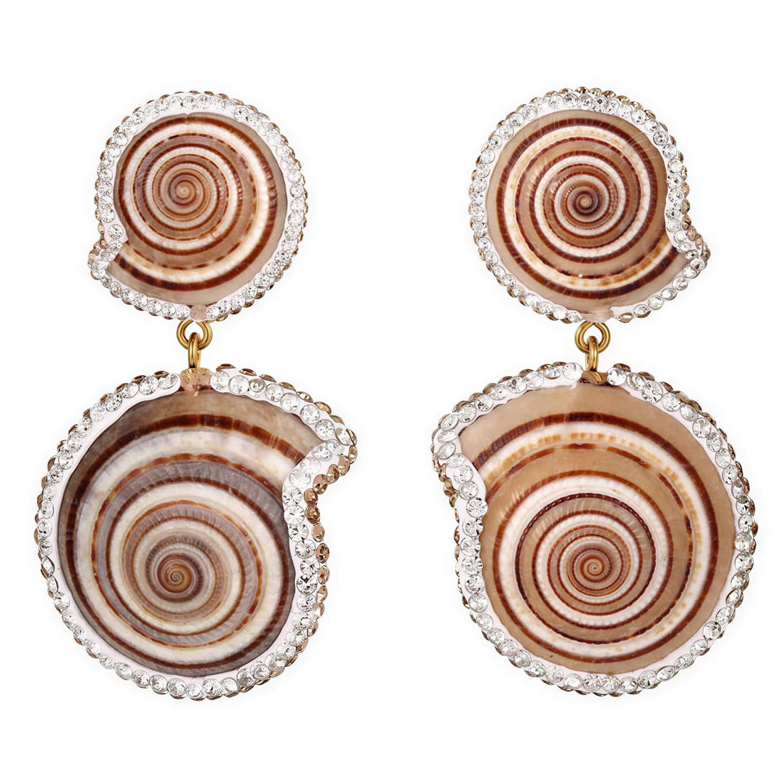 Schelpen oorbellen met wit bruine schelp en stras steentjes | Oorknoppen met schelp | Bright Double Natural Shell