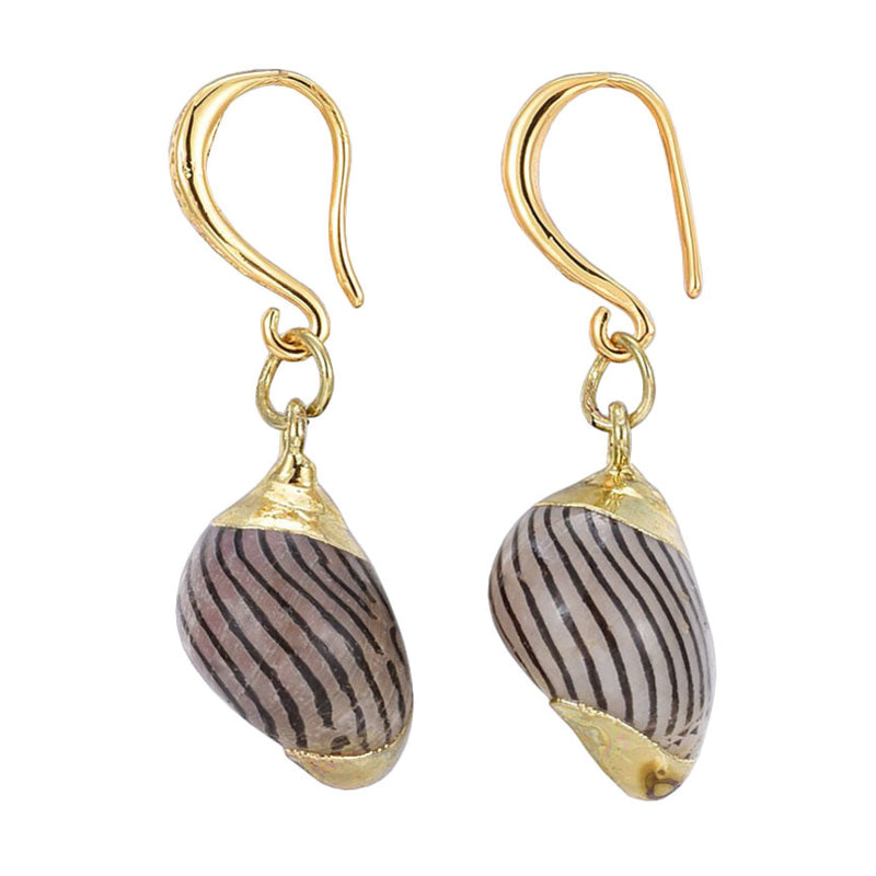 Schelpen oorbellen met bruine schelp | set Gold Spiral Shell