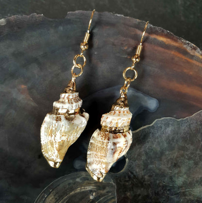 Schelpen oorbellen met wit beige schelp en goud edelstaal liggend in donkere schelp | Seashell Gold