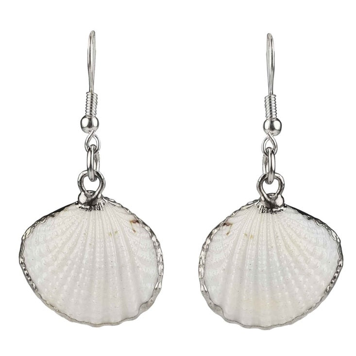 Witte schelp oorbellen met zilver edelstaal | White Cockel Shell Silver