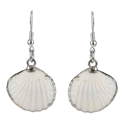 Witte schelp oorbellen met zilver edelstaal | White Cockel Shell Silver