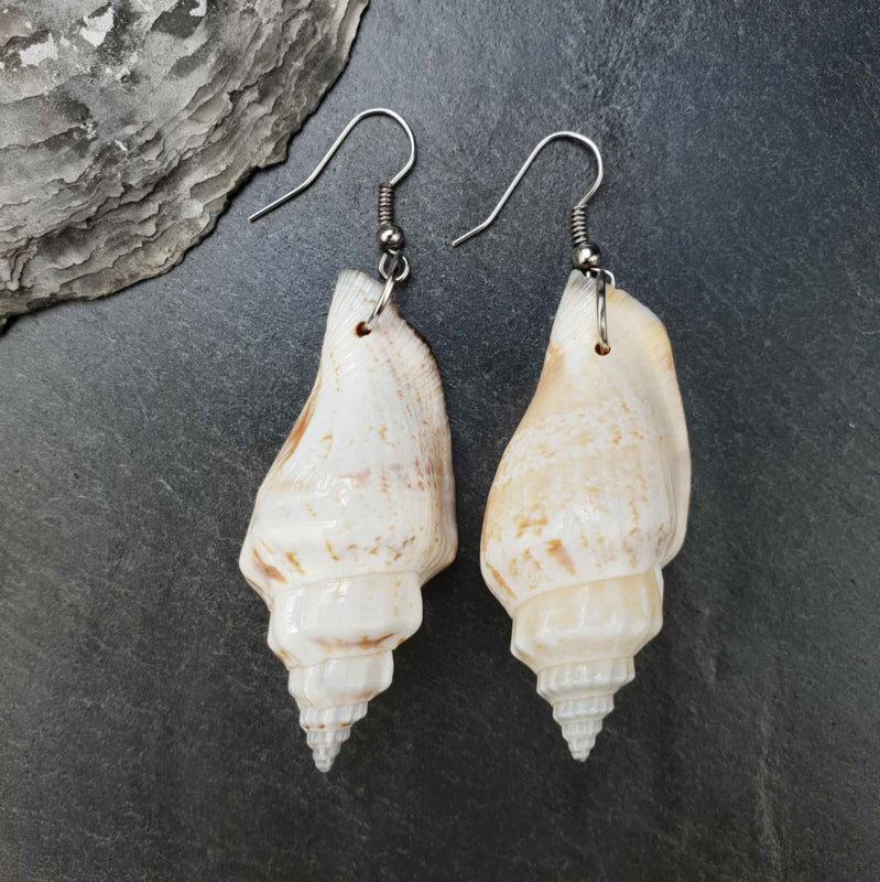 Schelpen oorbellen met witte schelp en sterling zilver (925) liggend op steen | Big Trumpet Shell White