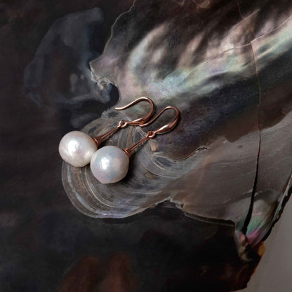 Lange witte zoetwater parel oorbellen met rose goud kleur, zijaanzicht liggend in schelp | Kasumi White Rose Gold