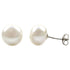 Grote witte zoetwater parel oorknoppen | Maza