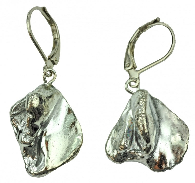 Zilver gekleurde schelpen oorbellen | Shell Silver